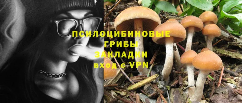 Галлюциногенные грибы MAGIC MUSHROOMS  Орлов 